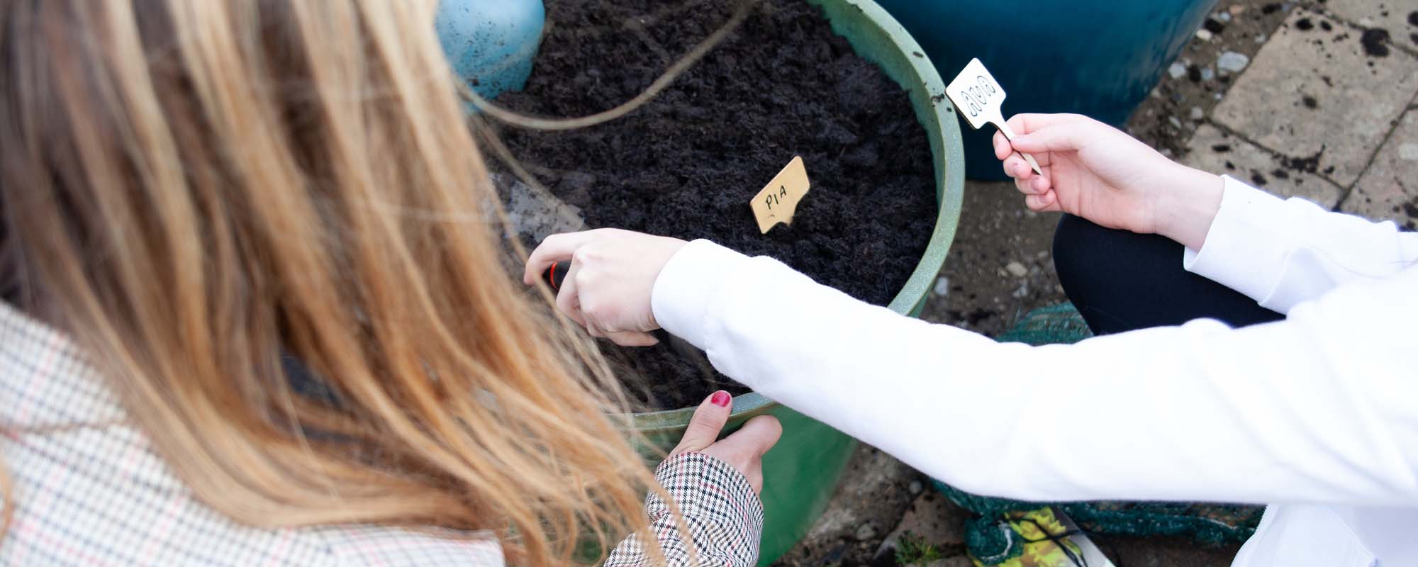 Sustainability features