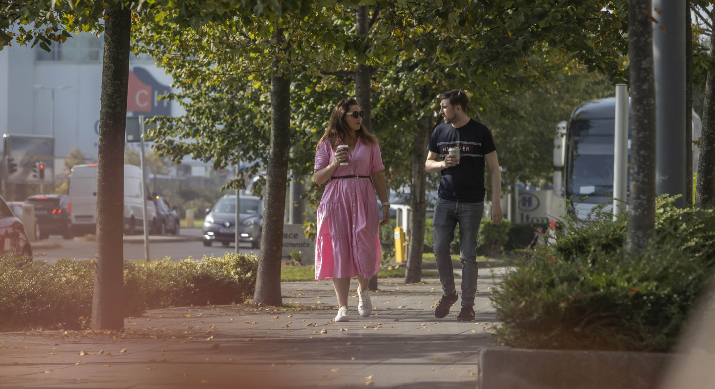 Northern Cross banner