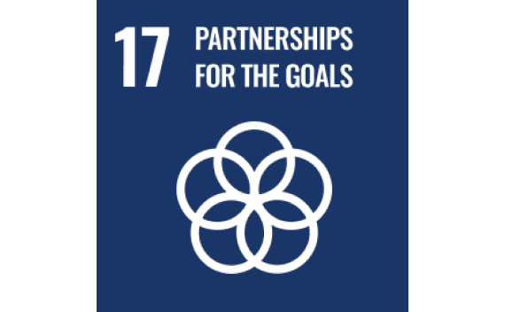 Partnerships for the goals